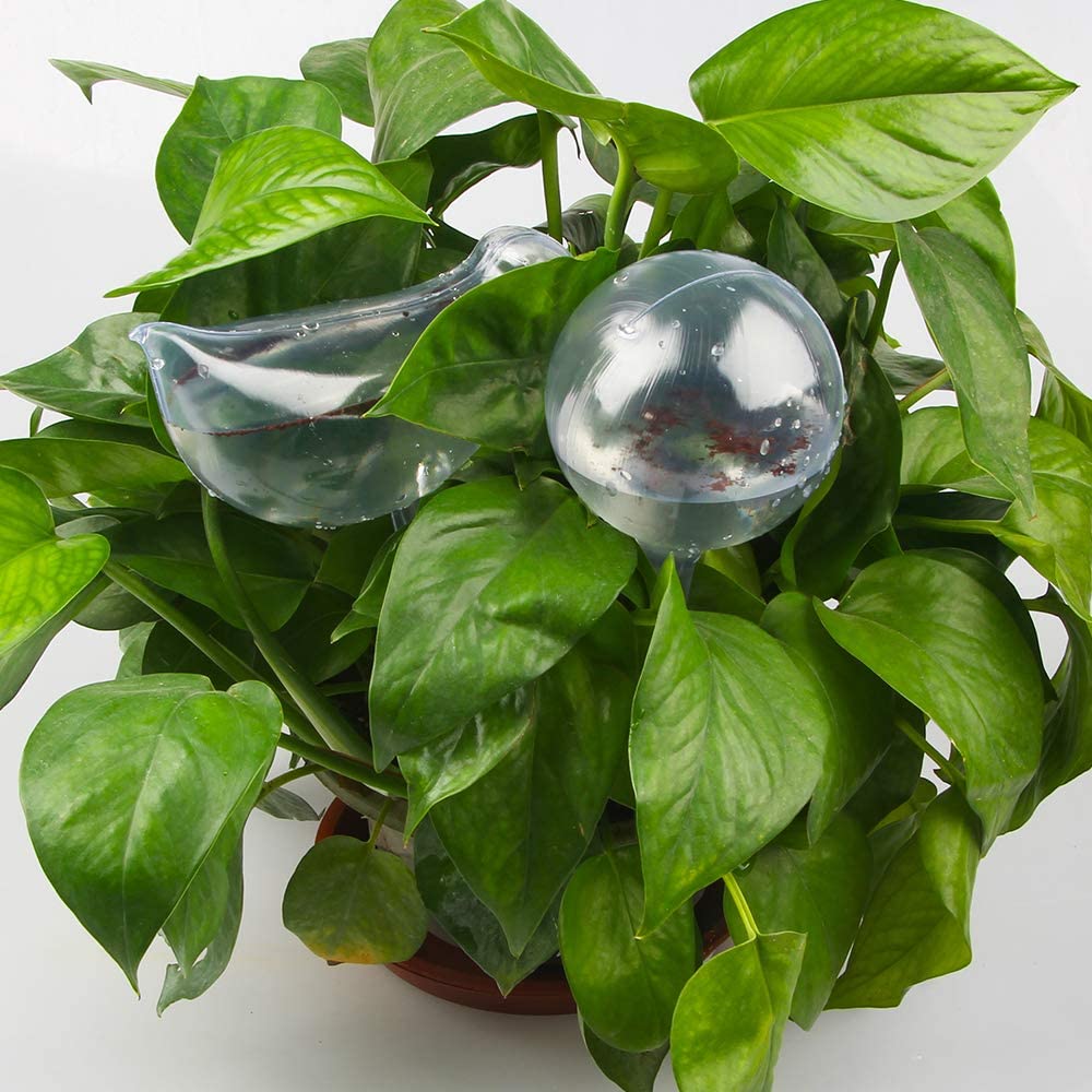 Clear Self-Watering Bulbs 12PCS Transparent Plant Automatic Watering Globes