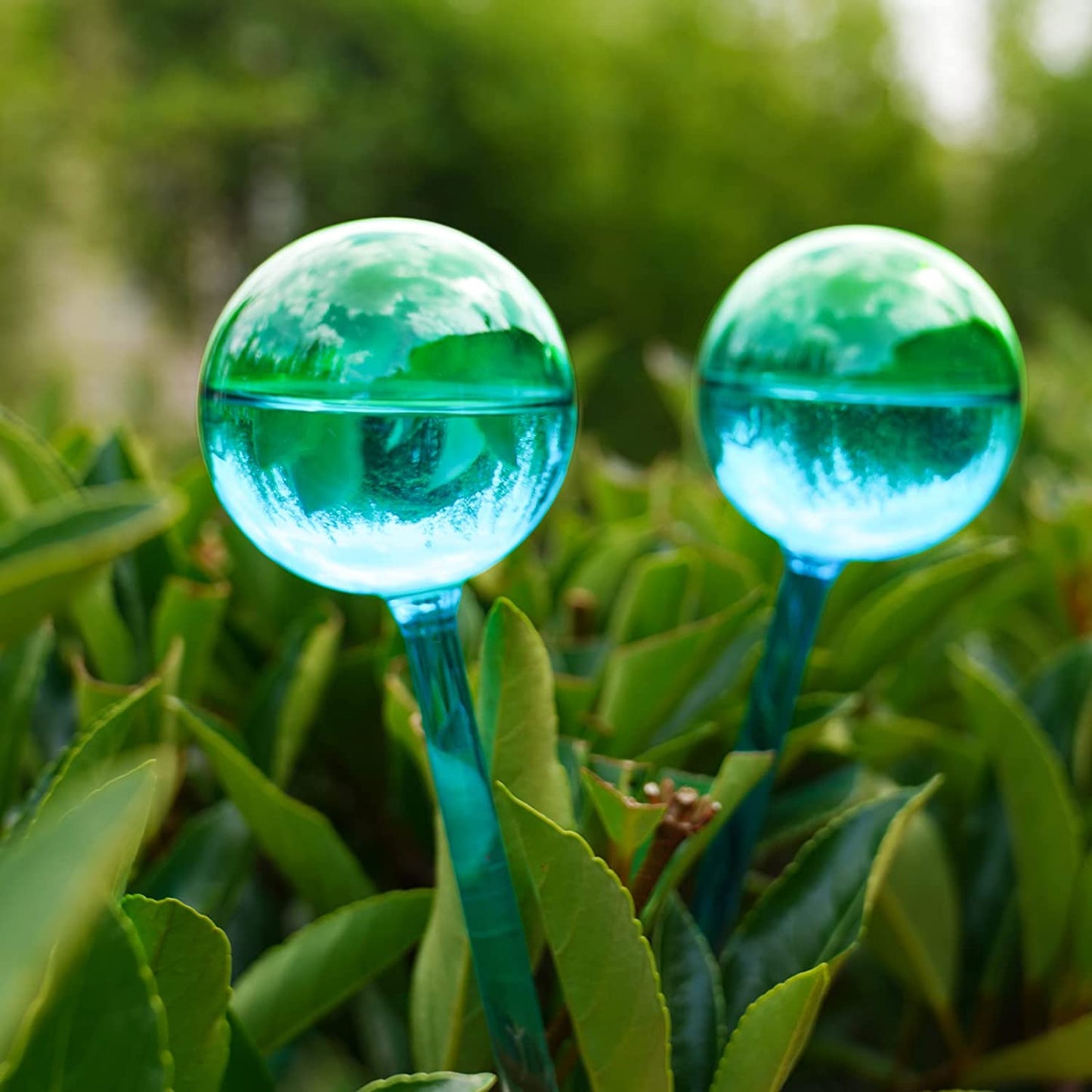 Self-Watering Globe 2PC 10" Green-Blue Iridescent Gradient Aqua Spike Glass Bulb