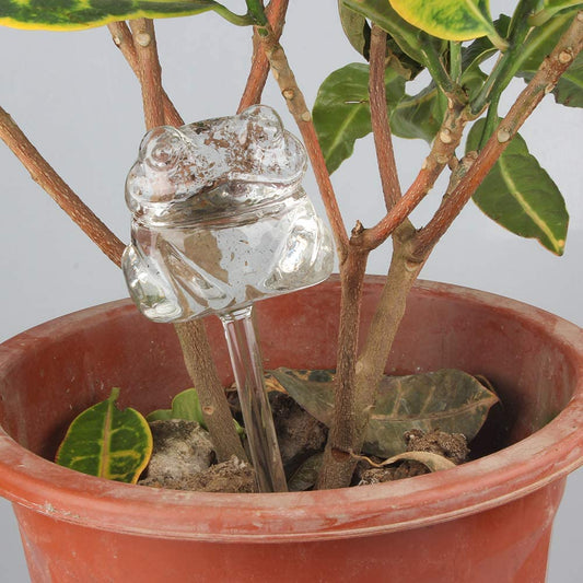 Self Watering Globes 2PCS Frog Plant Waterer Durable Clear Glass Aqua Bulbs