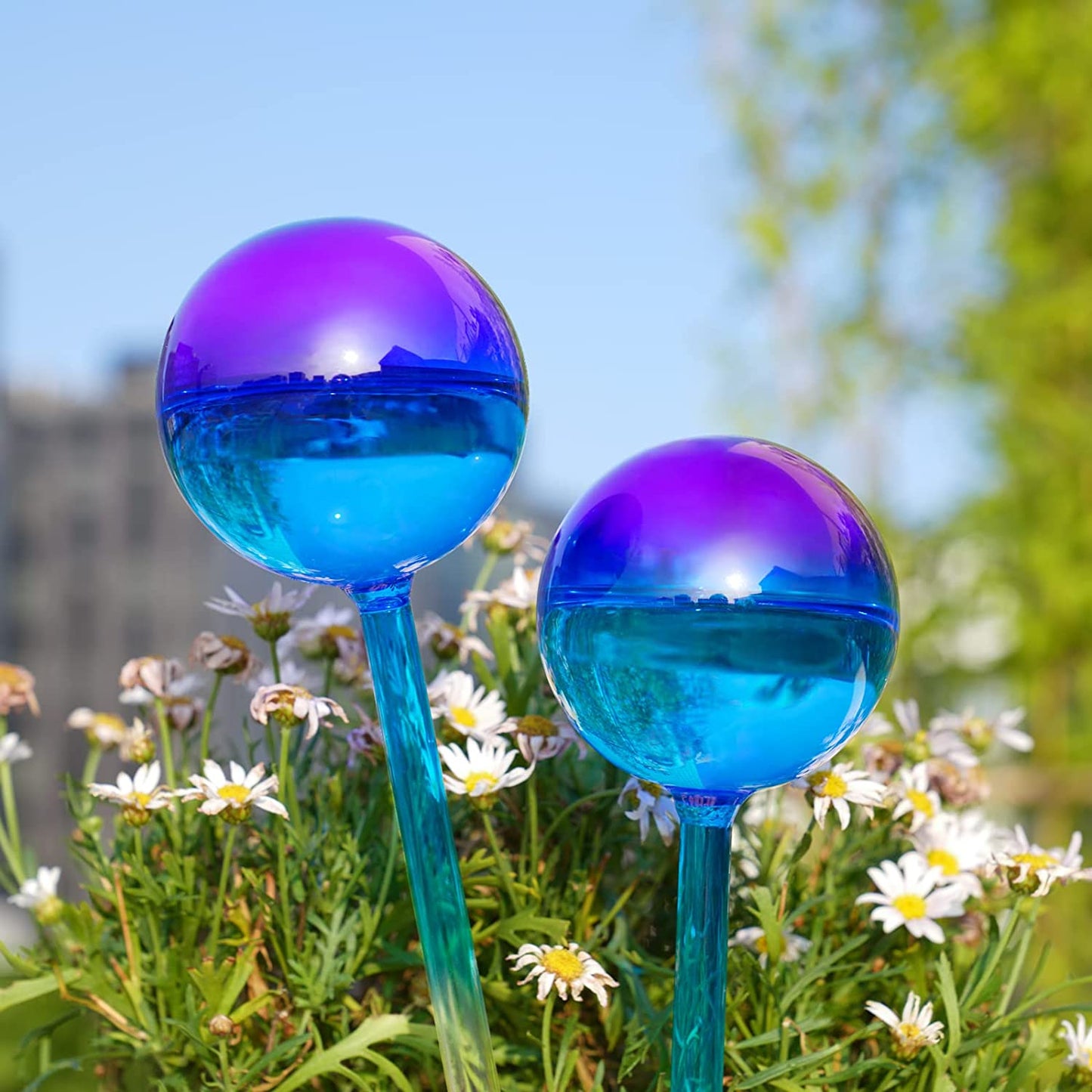 aqua plant watering globes Self Watering Globes 2PC Blue Purple Gradient Glass Aqua Automatic Pla – Attom Tech