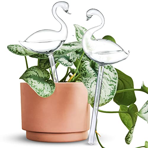 Self Watering Globes