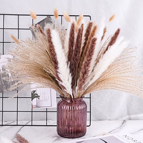 75PCS Natural Dried Pampas Grass Stems Decoration Set (15 White Pampas+15 Brow