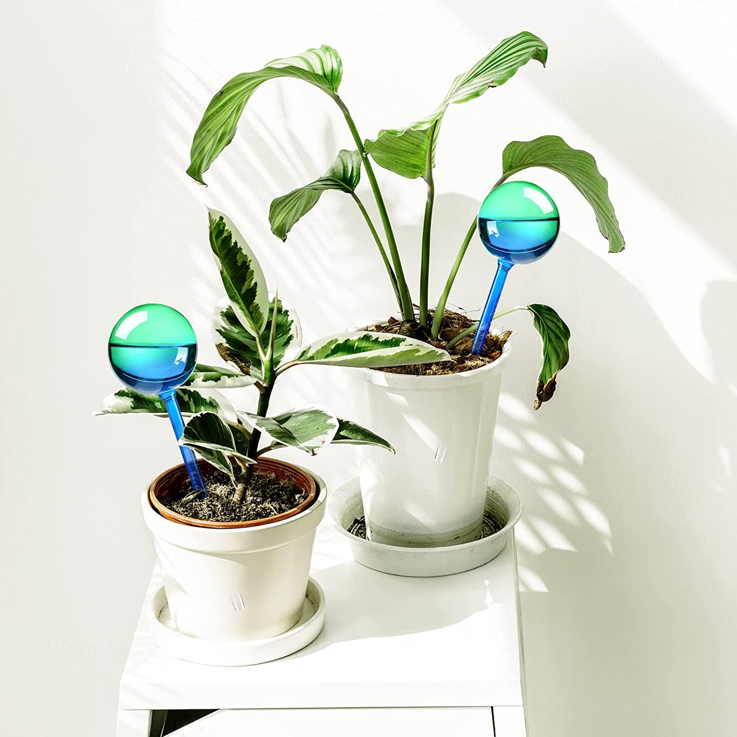 Self-Watering Globe 2PC 10" Green-Blue Iridescent Gradient Aqua Spike Glass Bulb