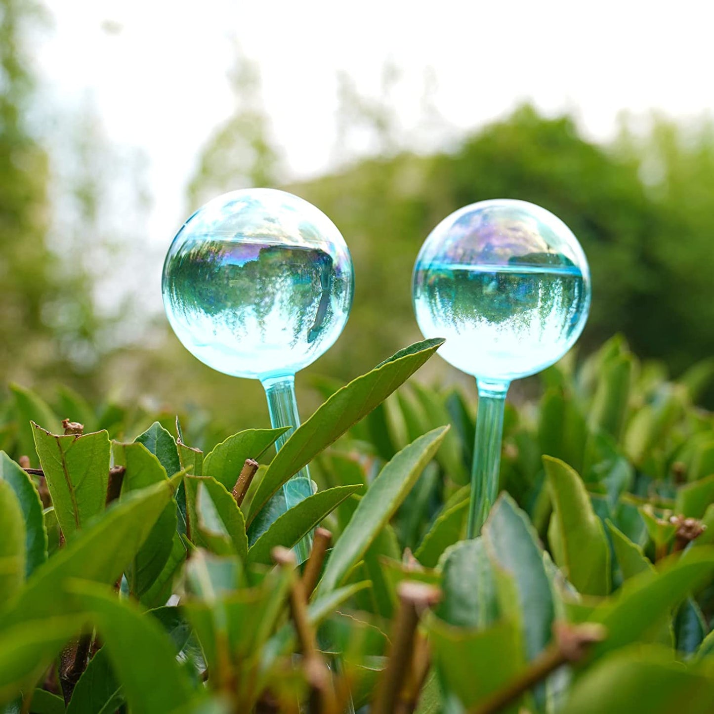 Aqua Spike Self-Watering Bulb 2PC 10" Iridescent Pearl Glass Globe Plant Waterer